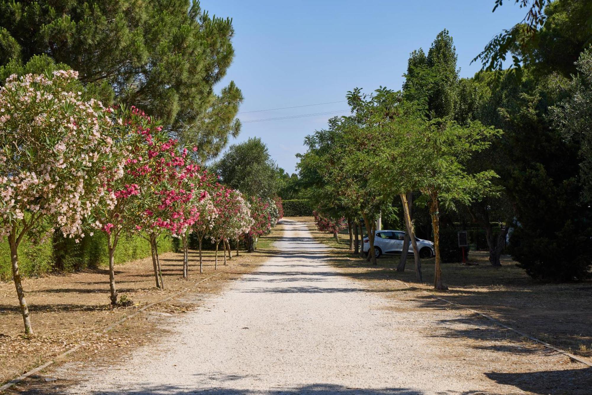Costa D'Argento - Camping Village Club 까팔비오 외부 사진