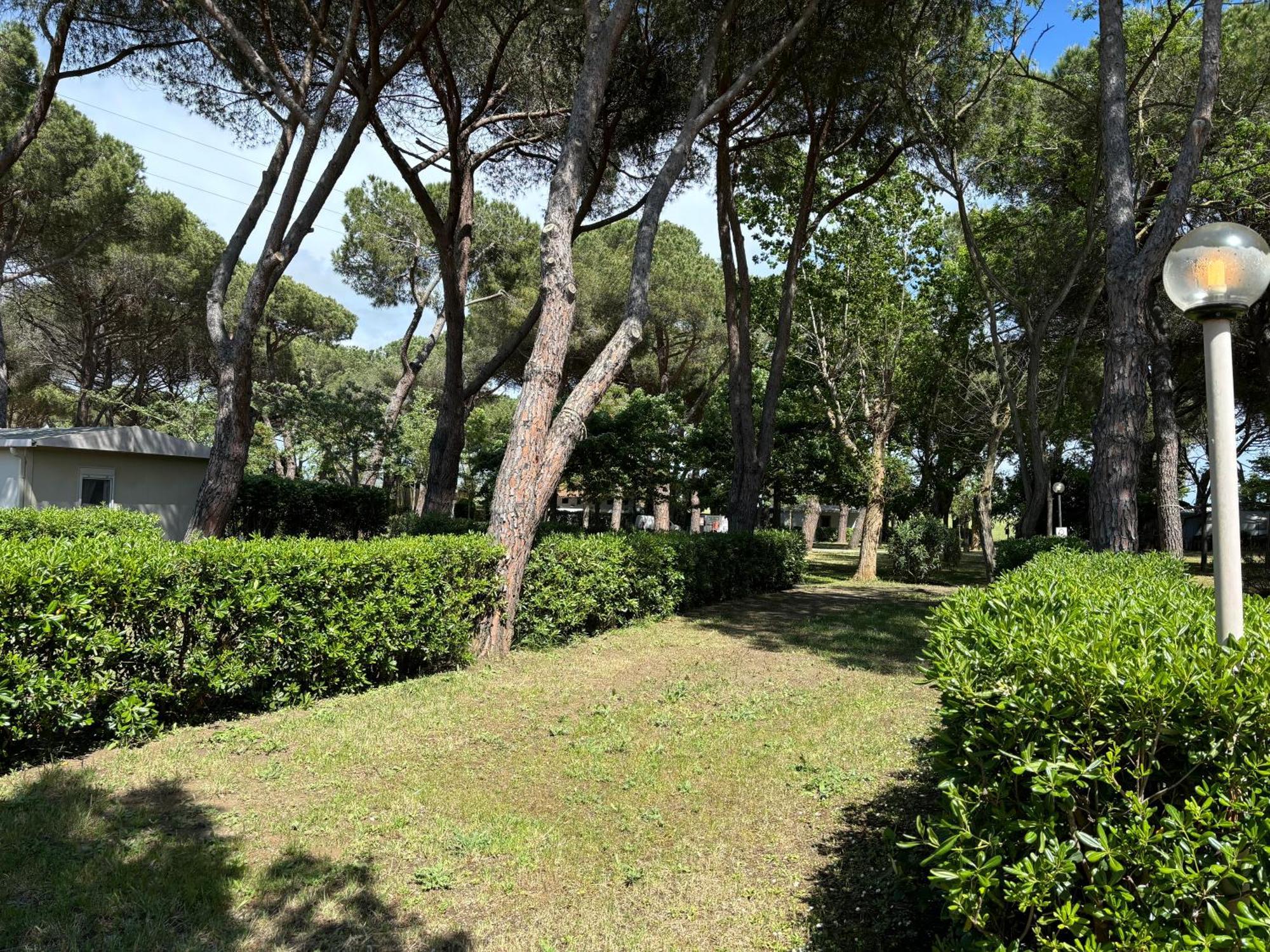 Costa D'Argento - Camping Village Club 까팔비오 외부 사진